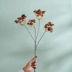 Queen Anne's Lace Stem