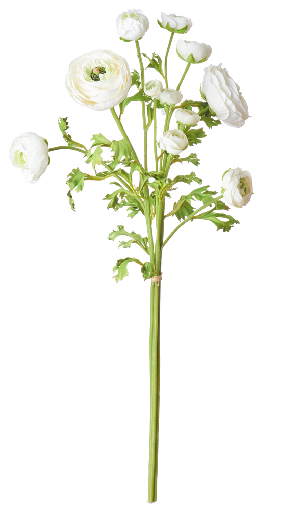 Neptune Flowers & Plants Ranunculus Bundle