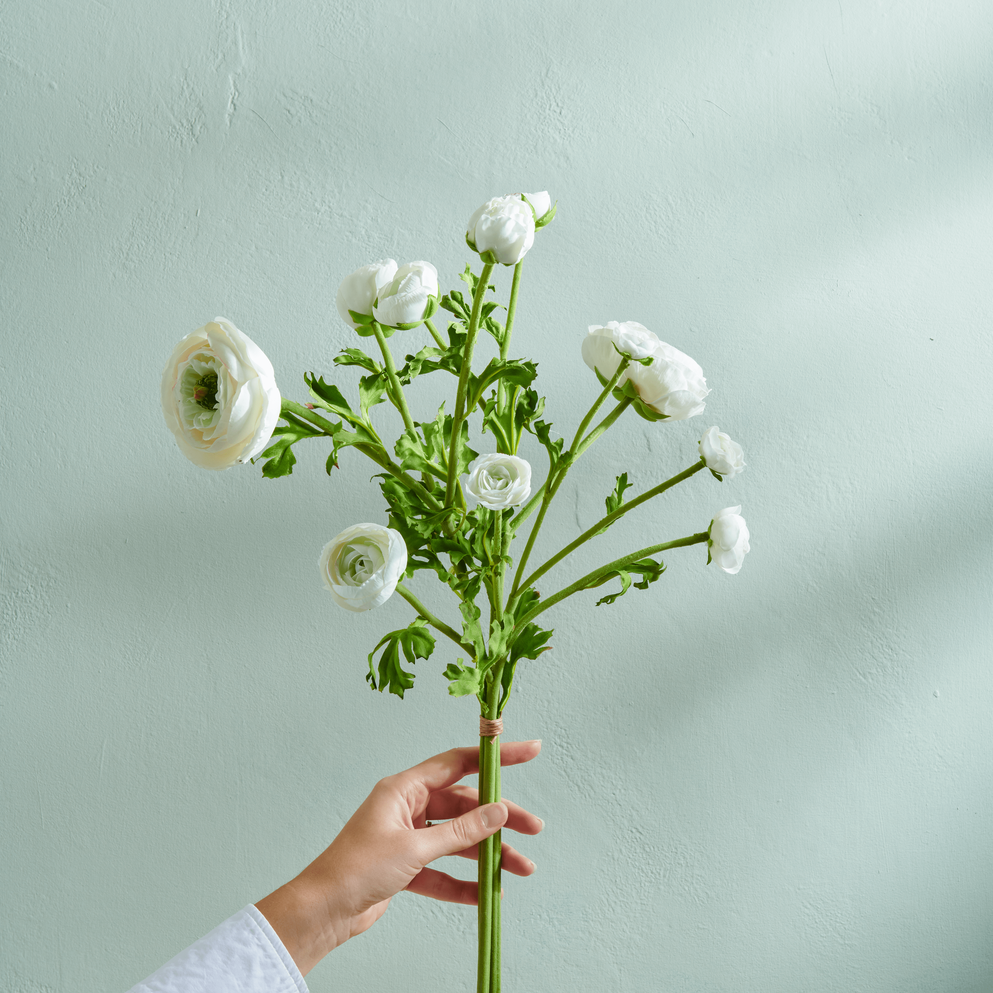 Neptune Flowers & Plants Ranunculus Bundle