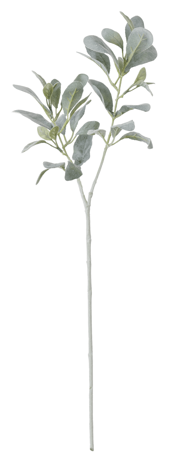 Neptune Flowers & Plants Sage Leaf Spray