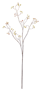 Snowberry Twig