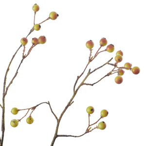 Snowberry Twig