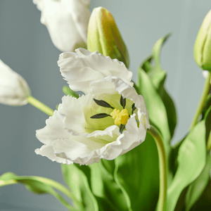 Tulip Bunch