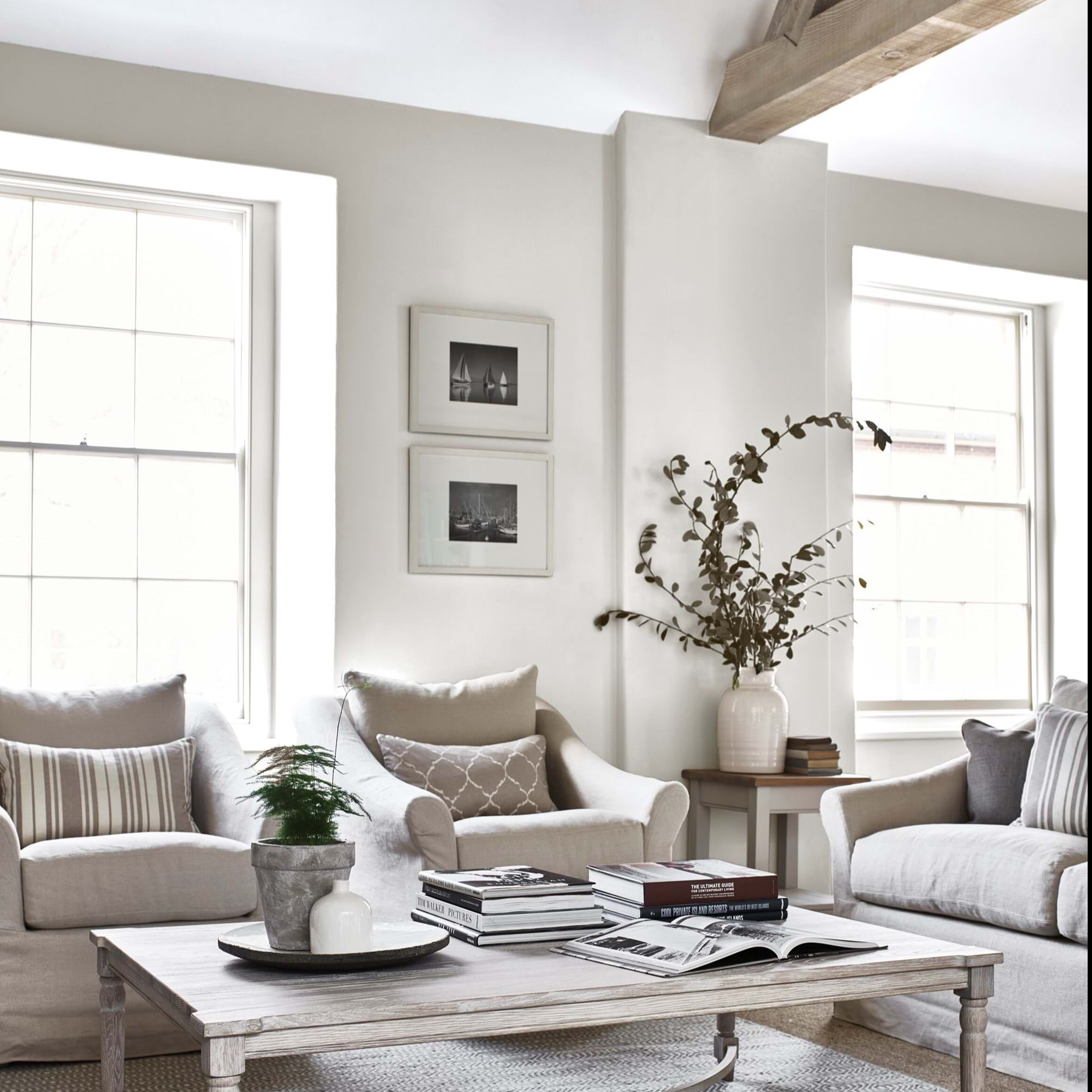 Neptune Paint Dove Grey Paint