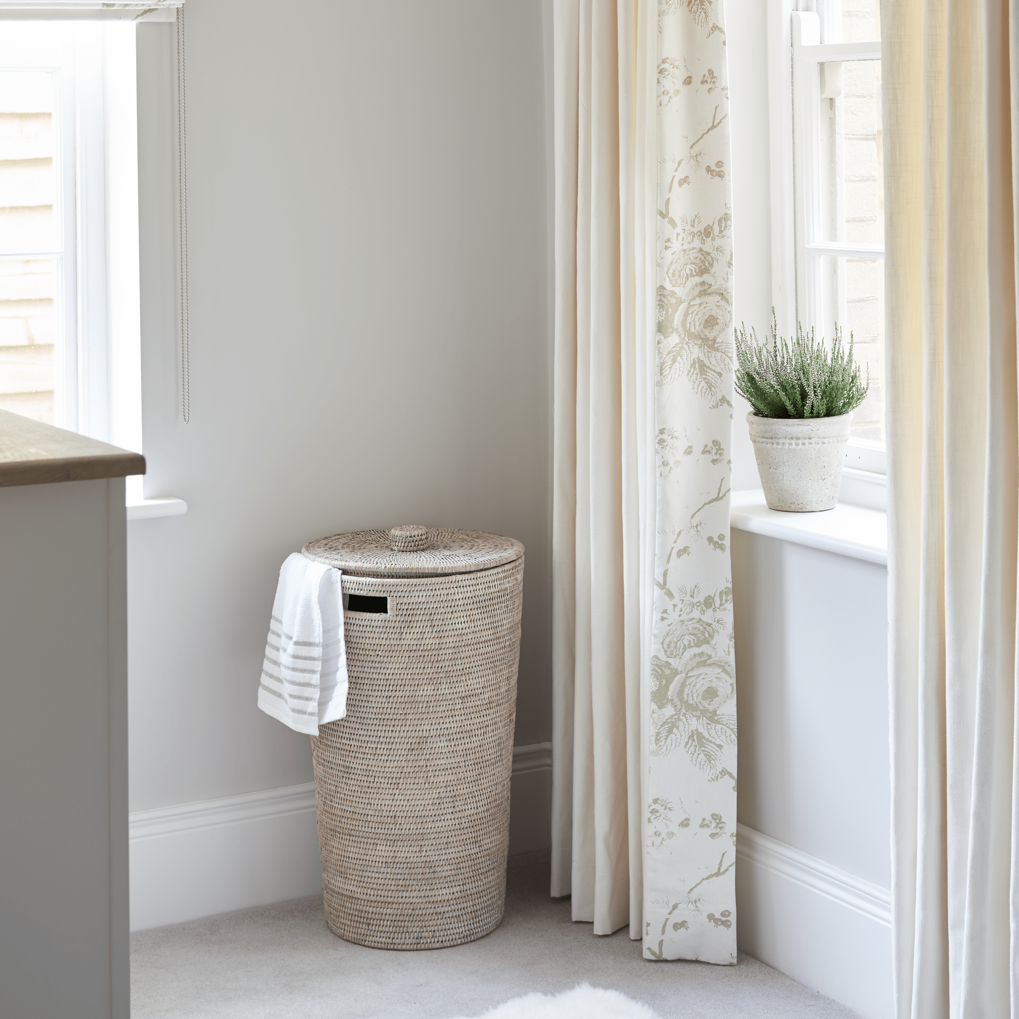 Neptune Paint Lily Paint