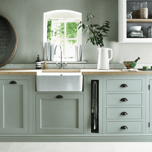 Neptune Paint Sage Paint