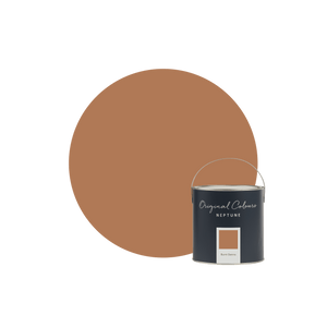 Burnt Sienna Paint