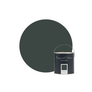 Neptune Paint Sample pot / Matt Emulsion Charcoal Paint