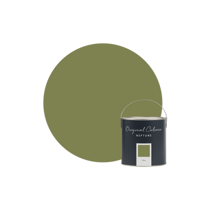 Neptune Paint Sample pot / Matt Emulsion Olive Paint