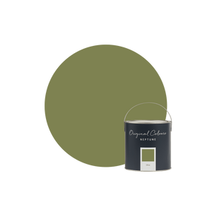 Olive Paint