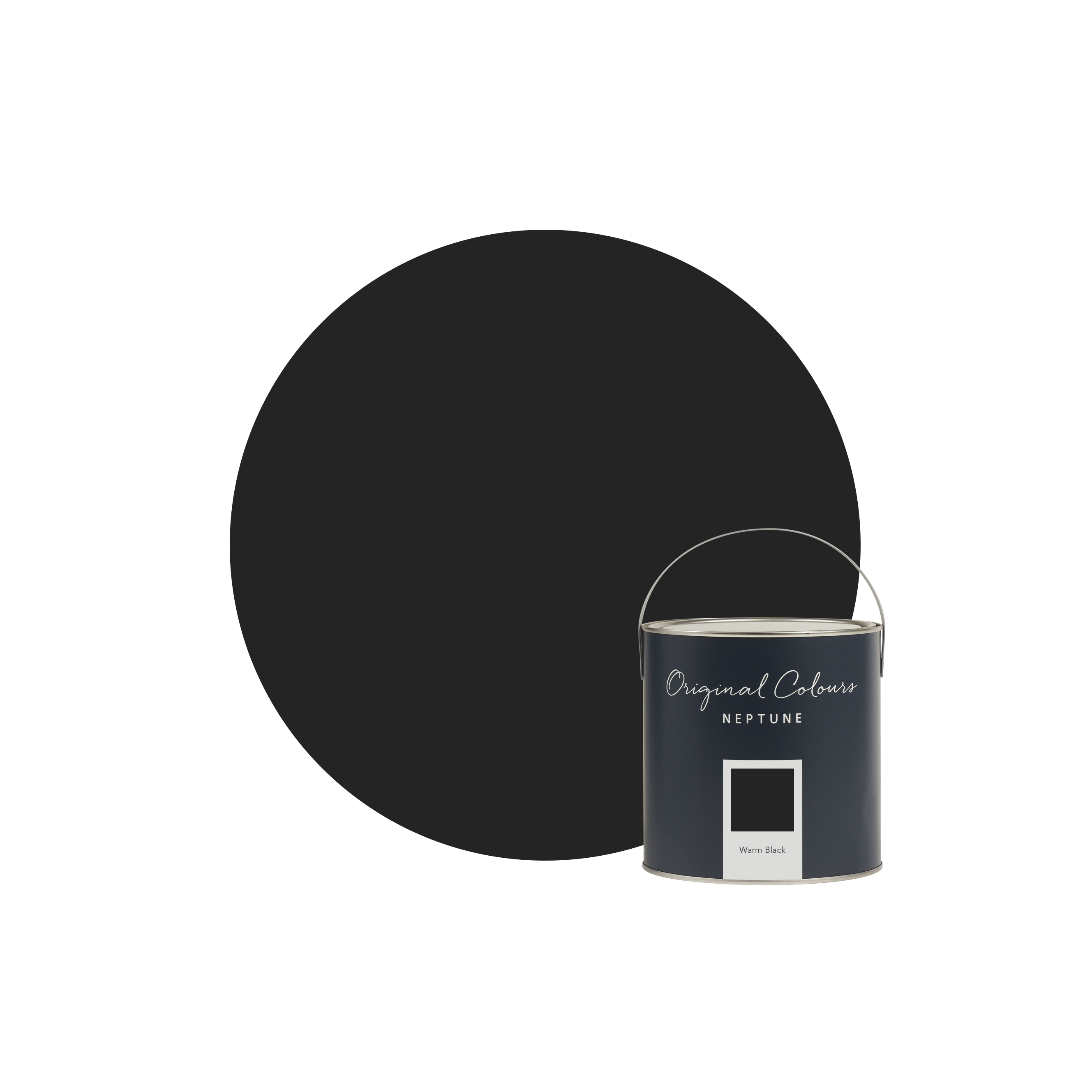 Neptune Paint Warm Black Paint