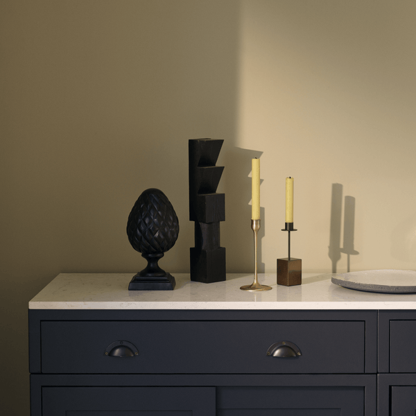 Neptune Paint Warm Black Paint