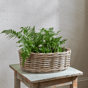 Neptune Pots & Planters Default Littleton Basket, Oval