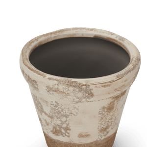 Thyme Terracotta Pot