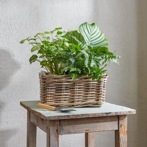 Neptune Pots & Planters Default Littleton Basket, Square