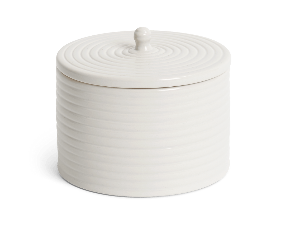 Lewes Storage Jar – Neptune