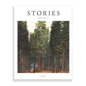 Stories volume 11