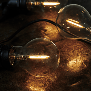 Neptune String Lights Default Rosewood Festoon Lights Extension Kit