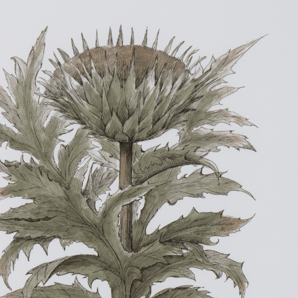 Neptune Wall Art Clipsham Botanical