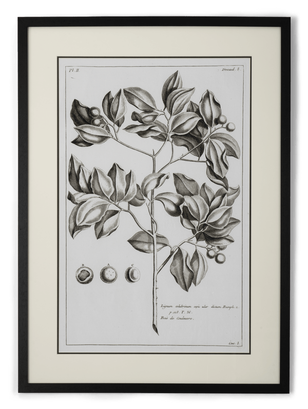 Neptune Wall Art Whitechapel